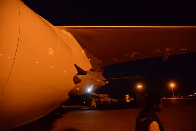 DSC_7440 (Large).JPG